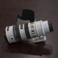 Nikon AF-S 70-200mm f/2.8 G ED VR - Tropical Grey