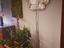 Immagine 4