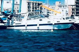 Barca a motore