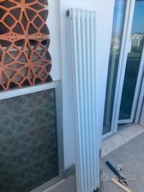 Temosifone irsap tesi 3