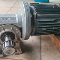motoriduttore Bonfiglioli 0,5 Hp
