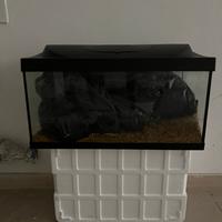 Acquario Tetra 54 lt