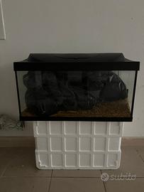 Acquario Tetra 54 lt