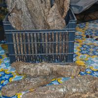 Sughero per PRESEPE