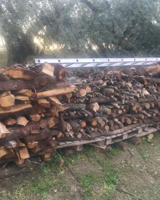 Legna da ardere