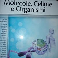 Molecole,cellule e organismi