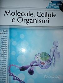 Molecole,cellule e organismi