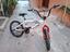 Immagine 1