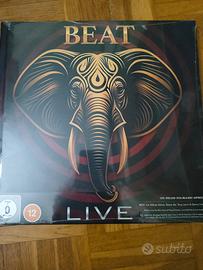 3 CD più blu ray art book beat 