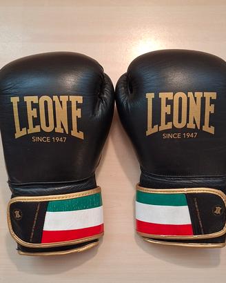 Guanti boxe Italy 47 Leone