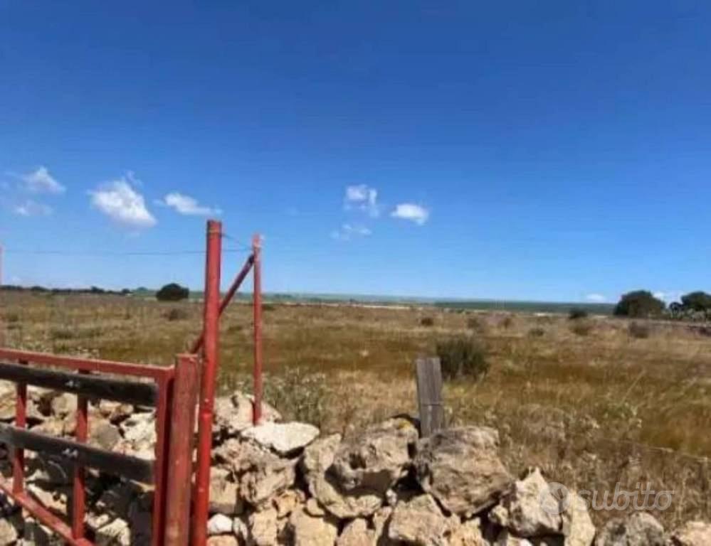 Immobile in asta di 5140 m² a Pachino - Vista 4