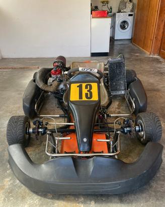 Go kart motore rotax 123