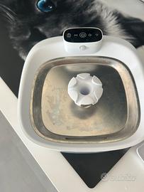 Fontanella per gatti