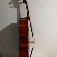 Violoncello 2/4