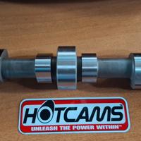 POLARIS RZR/ SPORTSMAN 800