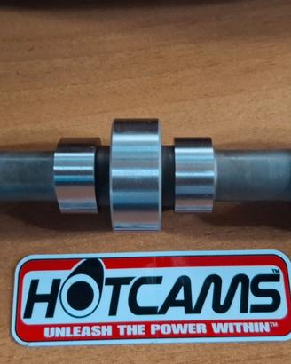 POLARIS RZR/ SPORTSMAN 800