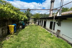 Casa di Campagna con Corte,1 Ettaro con 80 Ulivi