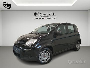 FIAT Panda 3ª serie Panda 1.0 FireFly S&S Hybrid