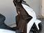 Immagine 23