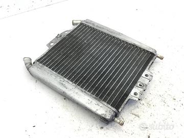 PIAGGIO X7 EURO 3 250 RADIATORE ACQAU LIQUIDO RAFF
