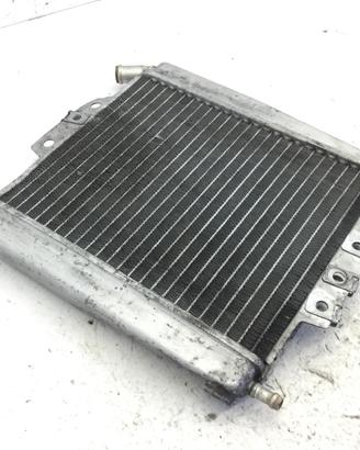 PIAGGIO X7 EURO 3 250 RADIATORE ACQAU LIQUIDO RAFF
