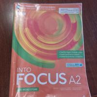 Into Focus A2