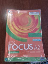 Into Focus A2