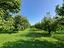 Immagine 14