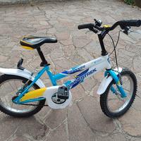 Mountain Bike 16"