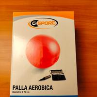 palla aerobica G Sport di diametro 75 cm
