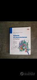 Netter Atlante di neuoscienze