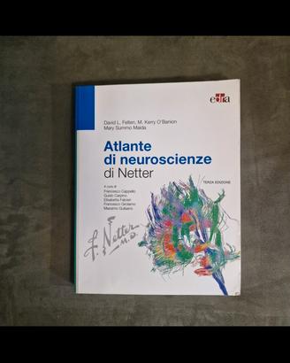 Netter Atlante di neuoscienze