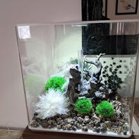acquario 60 litri biorbe cube