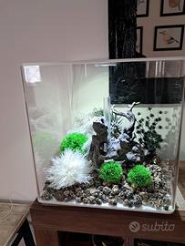 acquario 60 litri biorbe cube