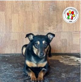 TEA sei ancora tanto giovane