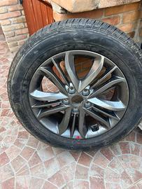 Cerchi e gomme