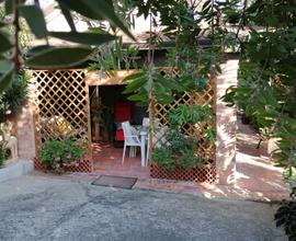 La tua estate nel Cilento comincia qui