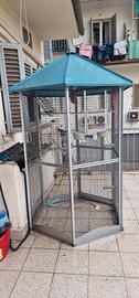Gabbia voliera per Pappagalli 