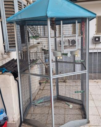 Gabbia voliera per Pappagalli 