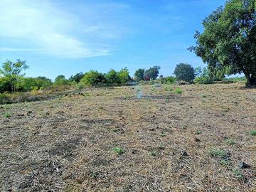 Rif.GL207| terreno agricolo aci sant'antonio
