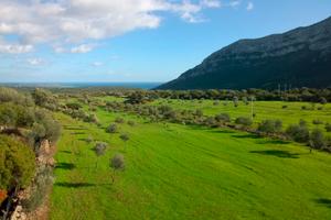 AZIENDA AGRICOLA, 43 Ha: POTENZIALITA' TURISTICHE