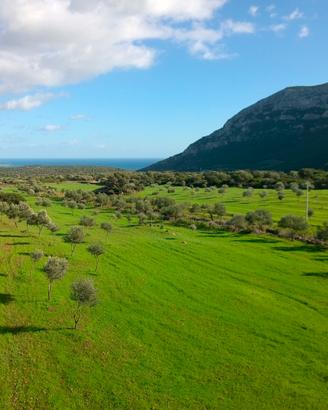 AZIENDA AGRICOLA, 43 Ha: POTENZIALITA' TURISTICHE