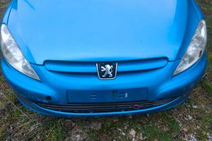 Ricambi Peugeot 307 SW