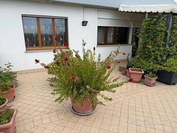 Attico / Mansarda di 160 m² con più di 5 locali e 
