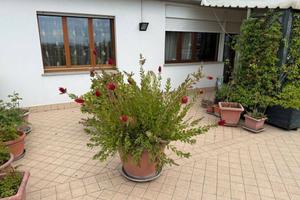 Attico / Mansarda di 160 m² con più di 5 locali e 