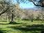 Immagine 9