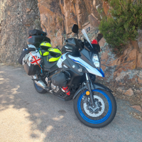 Suzuki v strom 650