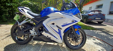 Wottan motor gp2 125