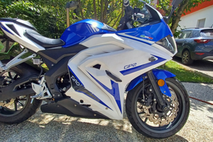 Wottan motor gp2 125