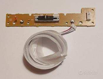 Scheda YAMAHA P45